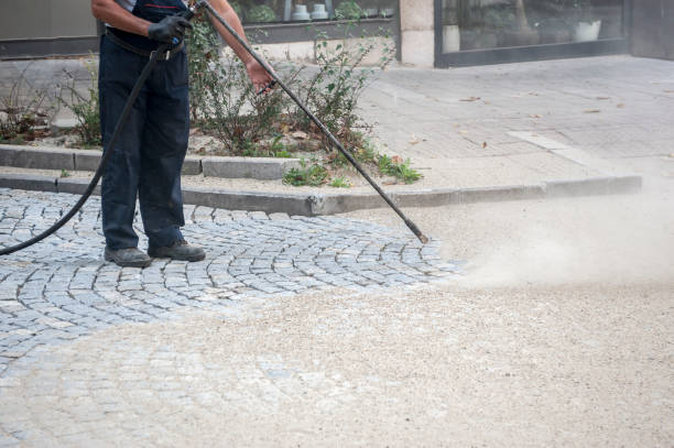 Best Driveway Pressure Washing  in Raton, NM